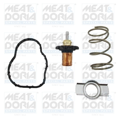 Thermostat, coolant